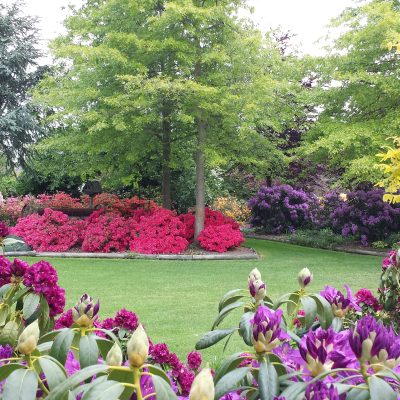 Art Studio and Garden Trail