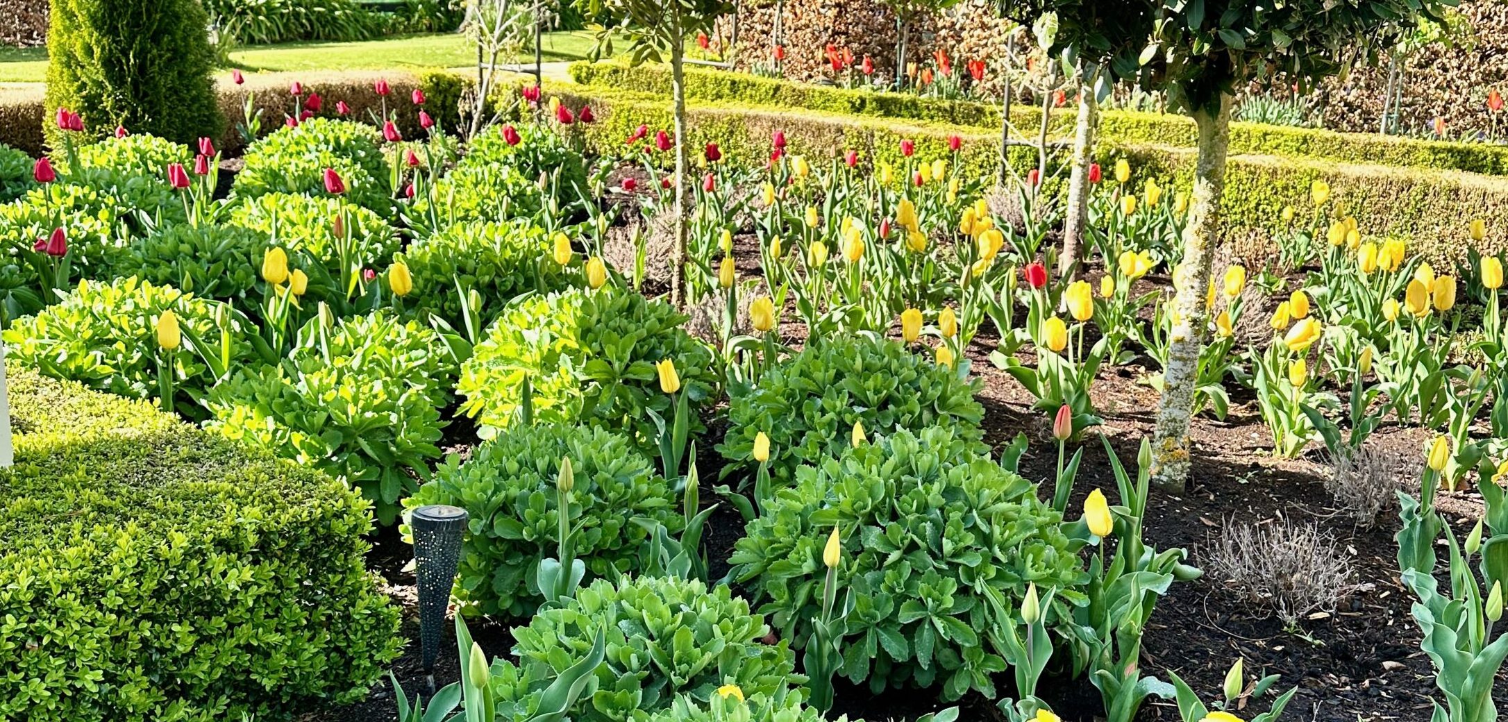 Oasis Cottage Garden