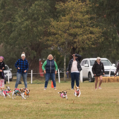 Oxford A&P Show