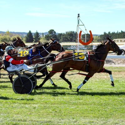 Rangiora Harness Racing Season Opener