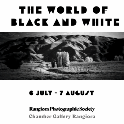 The World of Black and White