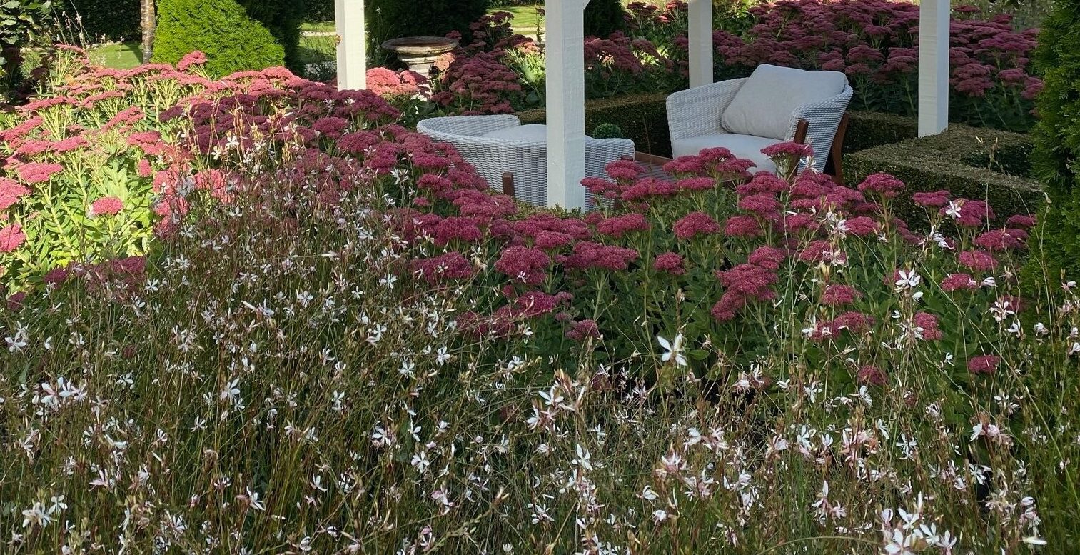 Oasis Cottage Garden 1