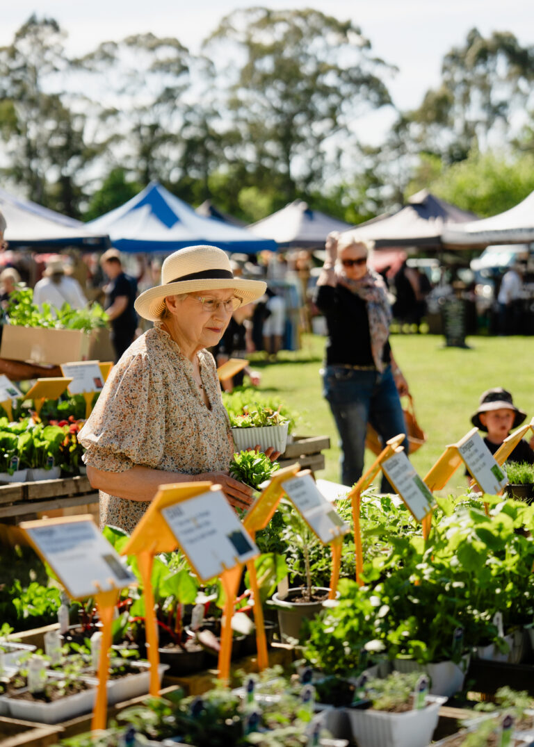 Community event taking place in Waimakariri, Canterbury