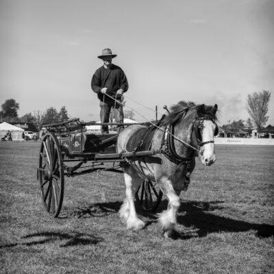 Rangiora A&P Show