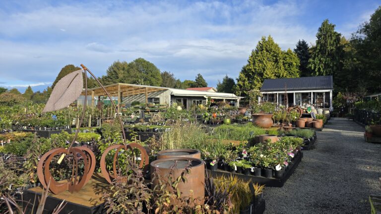 Nurseries near gardens