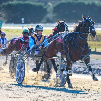 Rangiora Harness ANZAC Weekend Racing