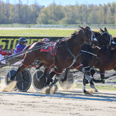 Rangiora Harness Racing Club, Anne Thompson Graduation Series – Final Day and The Rangiora Winter Cup